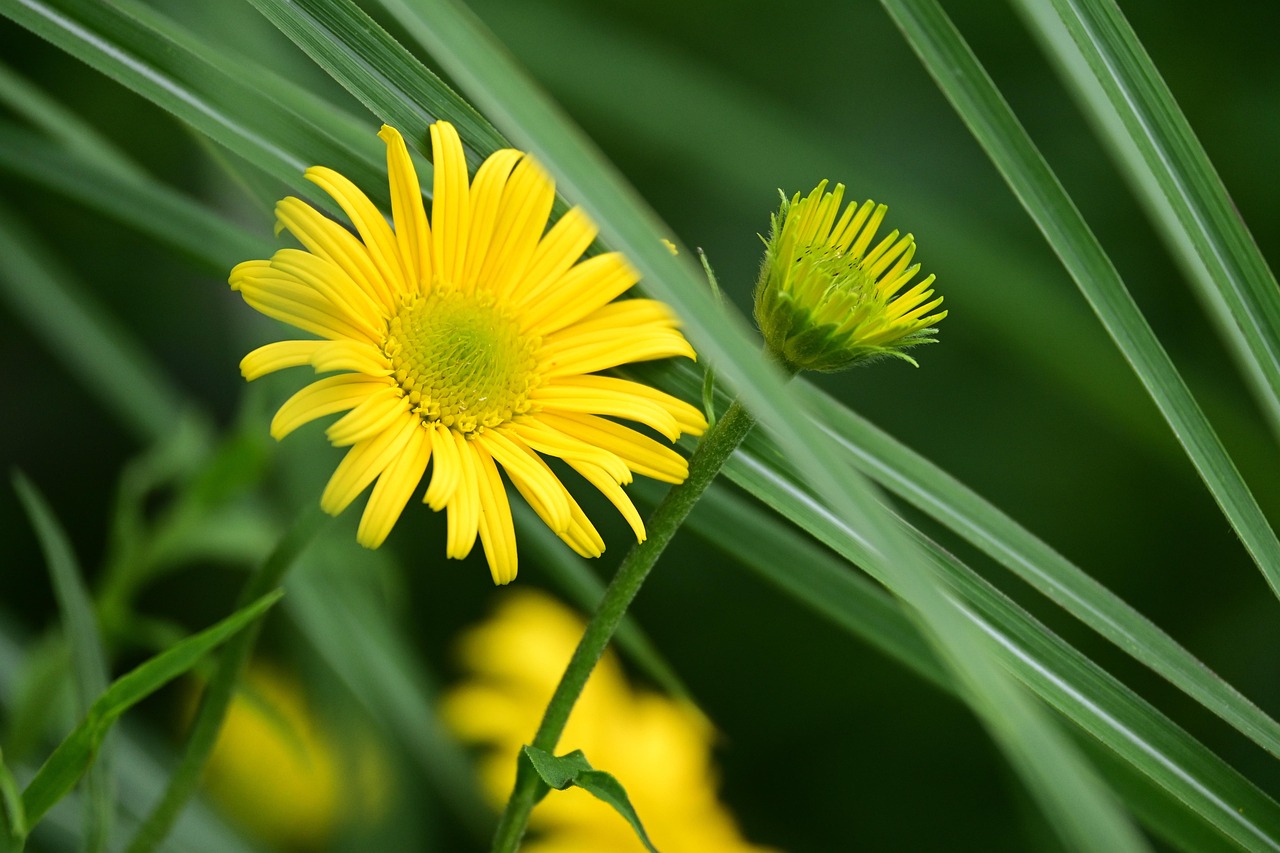 かぶれない白髪染めにおすすめの植物性カラーは？