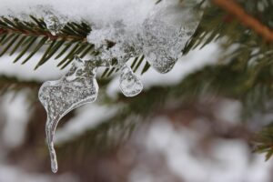 かぶれない白髪染めのための頭皮保護方法は？