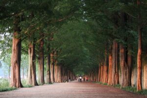 かぶれない白髪染めを提供する美容院のおすすめは？