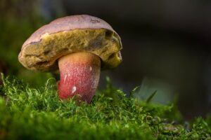 かぶれない白髪染めが敏感肌でも失敗しない方法は？
