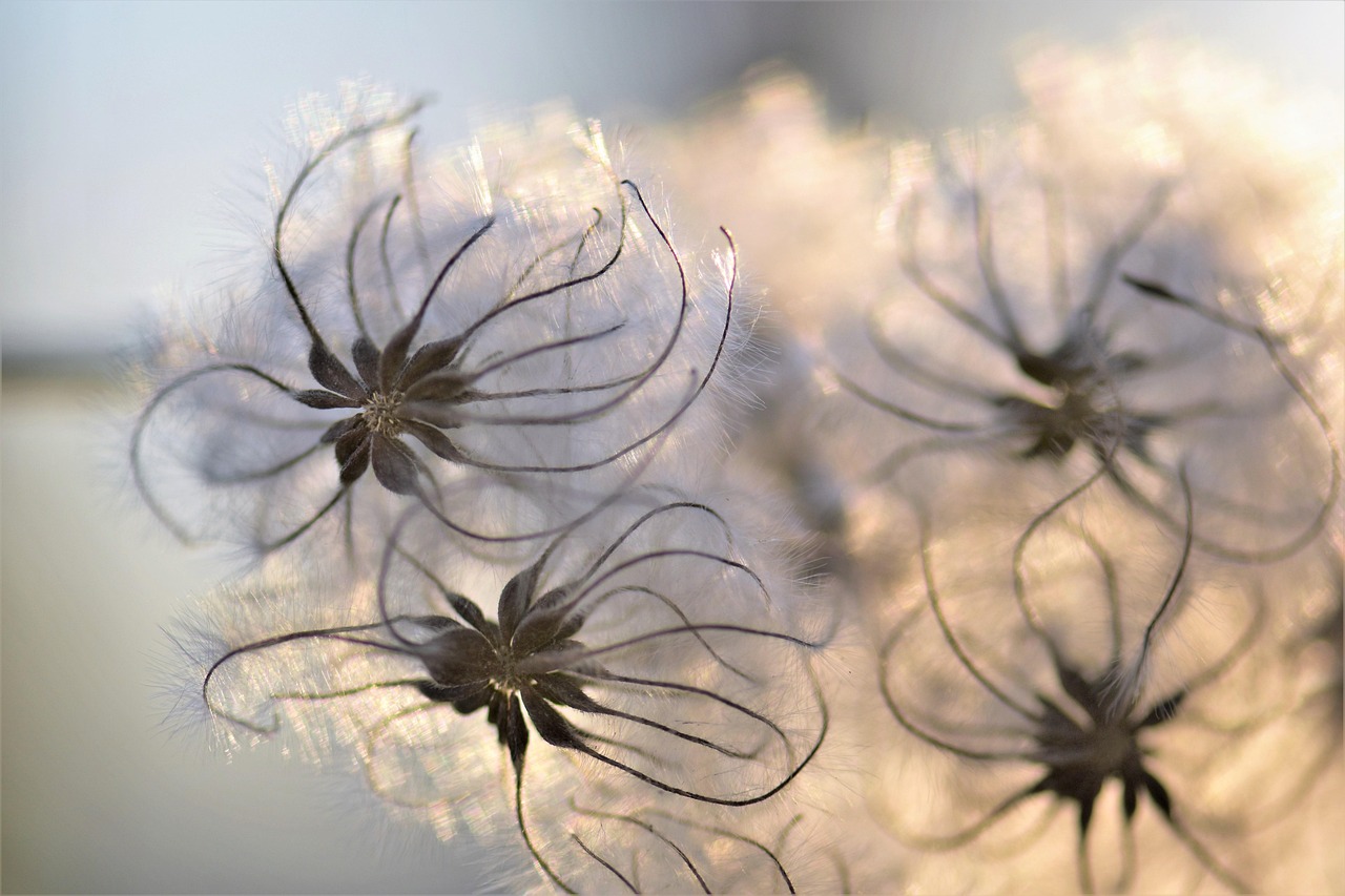 かぶれない白髪染めは乾燥肌の頭皮でも大丈夫なの？